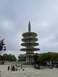 The Majestic Pagoda of San Francisco's Chinatown
