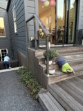 A Tumble in San Francisco