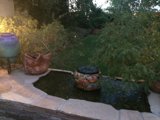 Serene Backyard Garden with Fountain and Pots