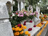 Honoring their Memory
