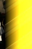 Yellow Background Lady