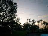Sunset Silhouette of Palm Trees and Power Lines