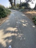 Sidewalk Art: A Graceful Giraffe