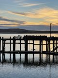 Sunset sail at Bodega Harbor