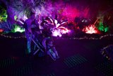 Enchanted Evenings at Garden of D'Lights