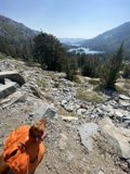 Trail Companion
