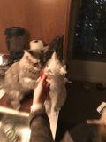 Kind-hearted Gesture