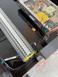 Navigating the Tech Jungle