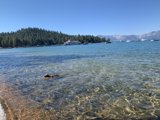 Summer Swim