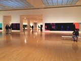 Art-filled Room at the Museum of Contemporary Art
