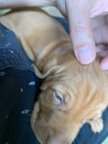 A Gentle Touch