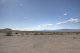 Serenity in the Scorching Desert