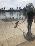 Lake Walk