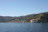Serene Promontory by the Water