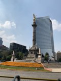 Monumental Bird