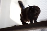 On the Edge