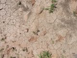 The Arid Terrain