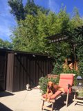 Relaxing in the Backyard