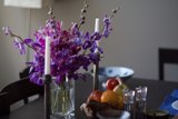 Purple Beauty in a Vase