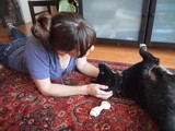 Woman Bonding With Black Dog Over Treat