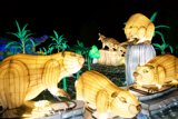 Illuminated Wildlife Spectacle at Glowfari, Oakland Zoo