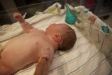 Welcome to the World, Leland