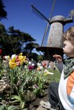 Spring's Innocence at Golden Gate Park
