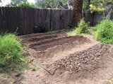 Into the Garden
