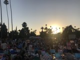 Summer Picnic Fun