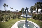 Serene Summer Oasis