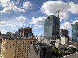 A Bird's Eye View of the Metropolis