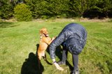 A Man's Best Friend