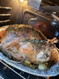 Thanksgiving Turkey Roasting in San Francisco