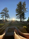 Sunset in the Grove