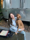 Canine Companion