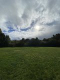 Serenity in the Field