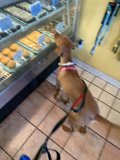 Temptation in Pasadena
