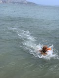 Ocean Swim