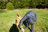 Playtime in the Park