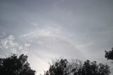 A Glimpse of Nature's Beauty