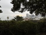 Urban Scenery from Hillside