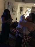 Feline Companions in the Living Room