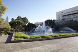 Majestic Fountain in the Park