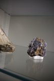 Nature's Treasures
