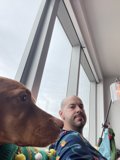Man's Best Friend