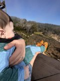 Serene Moment on a Bench with Baby