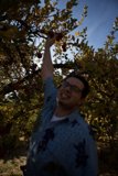 Harvesting the Fruits of the Farm