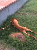 Relaxing in nature