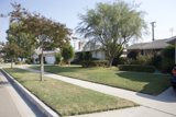A Sunny Day in Suburbia