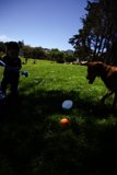 Summer Joy: Fun Times at Delores Park